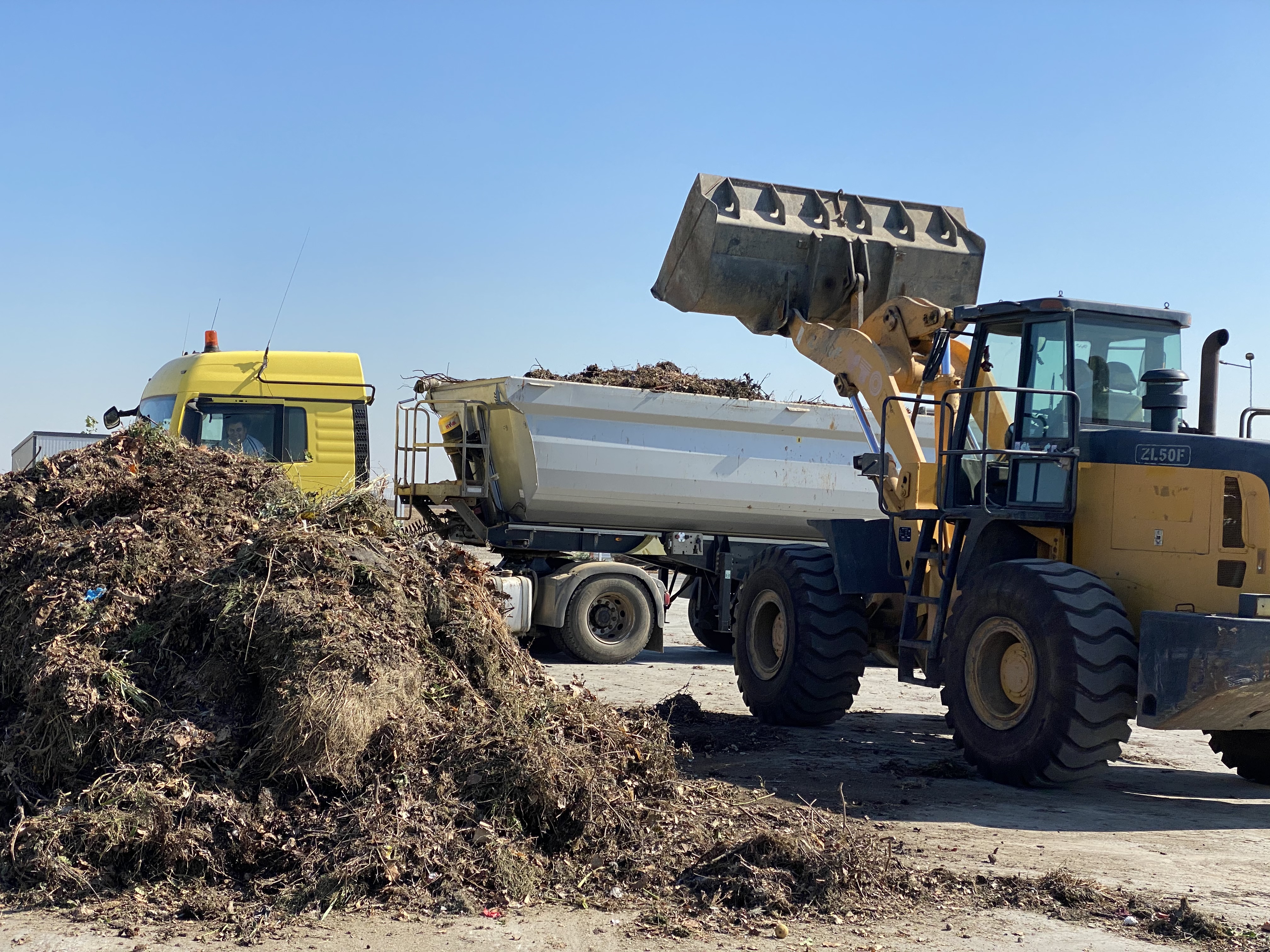 compost deseuri vegetale