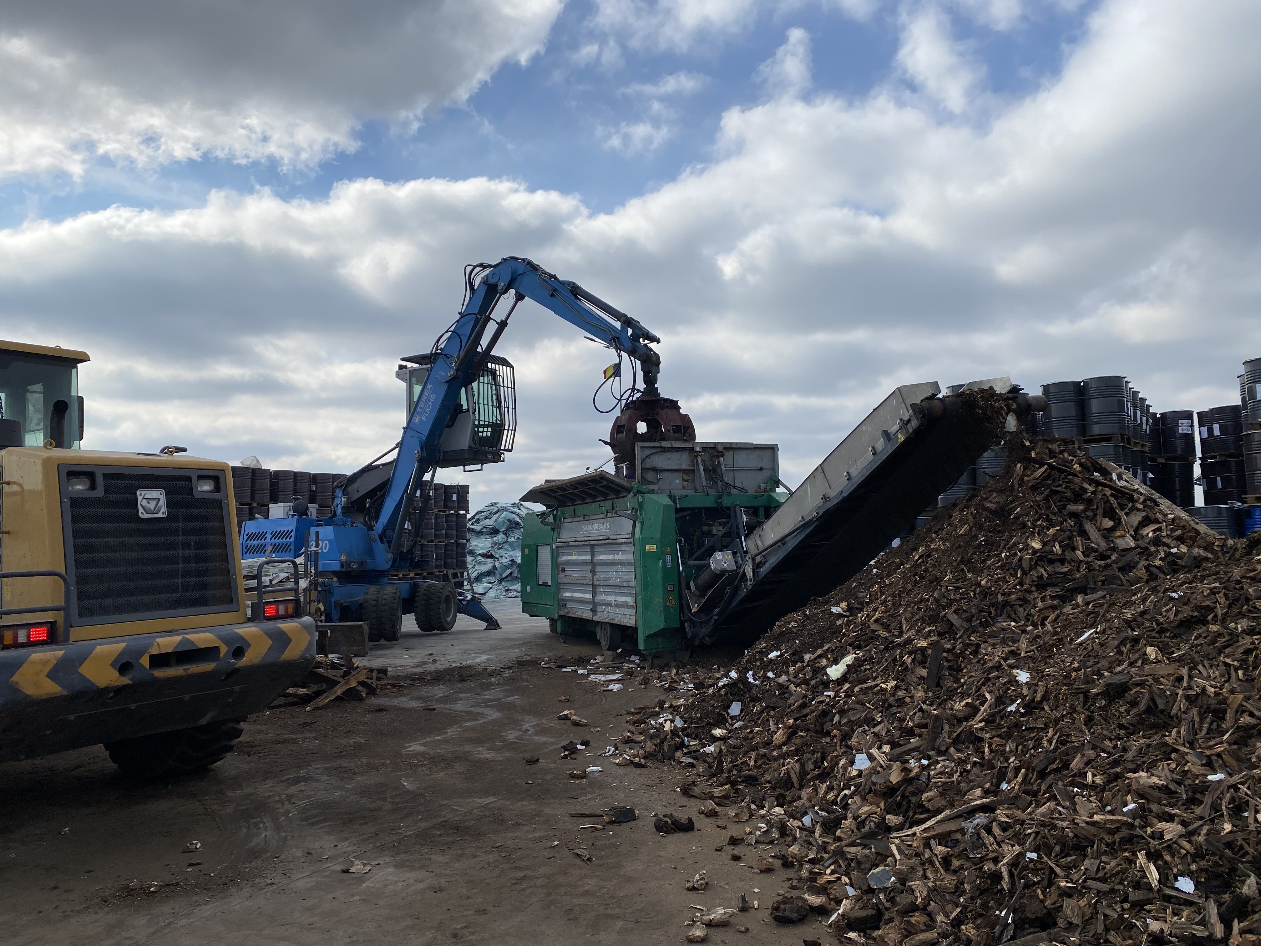 compost deseuri vegetale